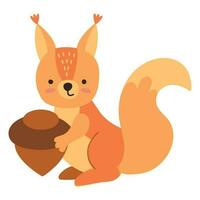 Cute hand drawn squirrel. White background, isolate. vector