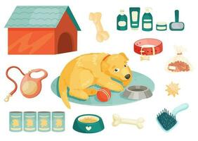 Dog and dog care supply elements set. Vector cartoon illustration.