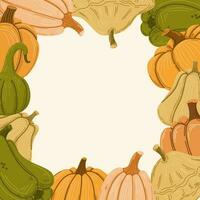 Squashes and gourds square frame. Vector hand drawn illustration.