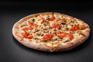 Delicious pizza with chicken, tomatoes and cheese with salt and sauce photo