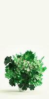3D Render of Green And White Clover Plant Pot On White Background. St. Patrick's Day Concept. photo
