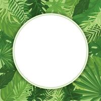 Tropical leaves in a round frame. vector