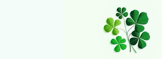 Green Clover Plant On White Background And Copy Space. St. Patrick's Day Concept. photo