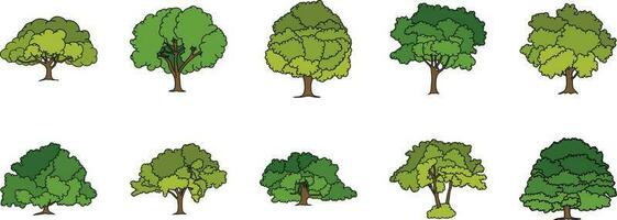 Tree Illustration Design vector