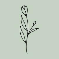 Line Art Floral vector