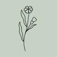 Line Art Floral vector