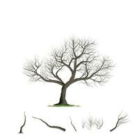 real muerto árbol vector ilustración