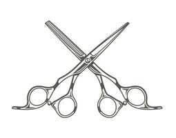 Scissors isolated on white background vector