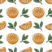 Orange seamless pattern. Hand drawn fruit background vector
