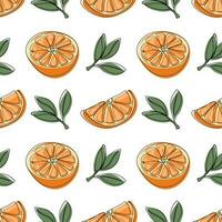 Orange seamless pattern. Hand drawn fruit background vector