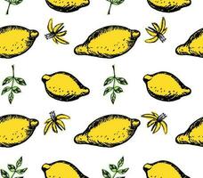 Lemon Seamless Pattern, summer fruit design vector