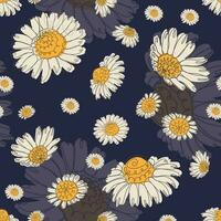 Seamless pattern of camomiles vector