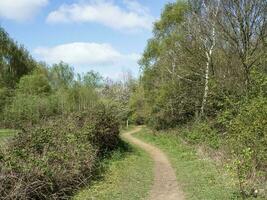 Path through Barlow Common Nature Reserve photo