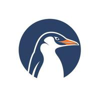 Penguin head logo vector - Bird Brand Symbol