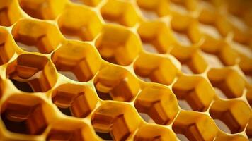 Yellow Honeycomb closeup foundation. Video animation