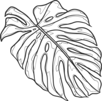 tropical feuilles monochrome avec croquis ancien feuille png