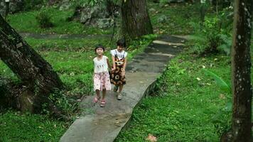 Two cute sisters running together on a stone path in a botanical garden with green plants around. Children studying nature video