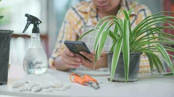 triste hembra jardinero esperando para pedidos desde clientes utilizando teléfono inteligente a vender en conserva plantas a en línea mercado. propietario comienzo arriba pequeño negocio invernadero. video