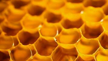 Yellow Honeycomb closeup foundation. Video animation