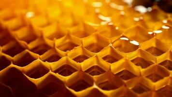 Yellow Honeycomb closeup establishment. Video animation