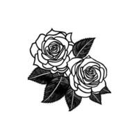 Roses hand drawn pencil sketch, coloring page, and book, Rose flower outline, illustration ink art. rose vector art.