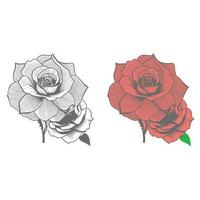 Rose hand drawn pencil sketch, coloring page, and book, Rose flower outline, illustration ink art. rose vector art.