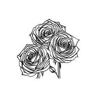 Roses hand drawn pencil sketch, coloring page, and book, Rose flower outline, illustration ink art. rose vector art.