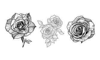 Roses hand drawn pencil sketch, coloring page, and book, Rose flower outline, illustration ink art. rose vector art.