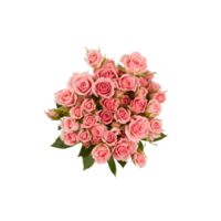 ramalhete do Rosa rosas com espinhos levar uma foto a partir de acima com cortar Fora isolado em transparente fundo png