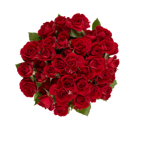 Bouquet of red roses with thorns Take a photo from above with cut out isolated on transparent background png