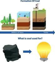 carbón formación proceso, formación de carbón vector ilustración, gas y petróleo proceso, qué es carbón utilizar para explicación y infografía