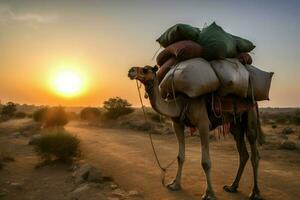 Camel carry load goods in desert. Generate Ai photo