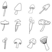 mushroom doodle icon. Vectro illustration. vector