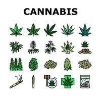cannabis plant leaf weed hemp icons set vector