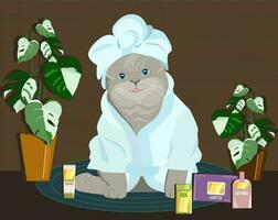 Cute grooming kit, jars of tissues for the daily routine. Cute cat in robe. Home relax after bath vector