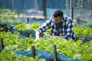 A worker on a vegetable farm examines soil conditions and crop growth to determine the best type and amount of crop to plant. A small business owner's daily planning and organizing routine photo