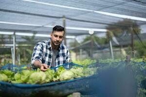 A worker on a vegetable farm examines soil conditions and crop growth to determine the best type and amount of crop to plant. A small business owner's daily planning and organizing routine photo