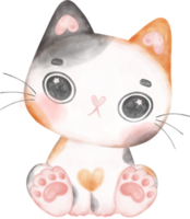 Cute playful calico kitten cat happy cartoon character watercolour hand drawing png