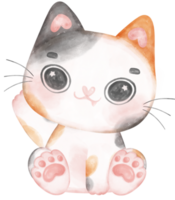 Cute playful calico kitten cat happy cartoon character watercolour hand drawing png