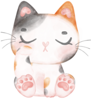 Cute playful calico kitten cat happy cartoon character watercolour hand drawing png