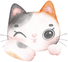 schattig vrolijk calico katje kat gelukkig gezicht tekenfilm karakter waterverf hand- tekening png