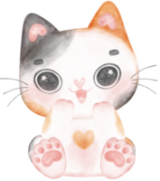 Cute playful calico kitten cat happy cartoon character watercolour hand drawing png