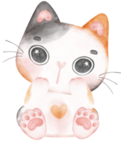 Cute playful calico kitten cat happy cartoon character watercolour hand drawing png