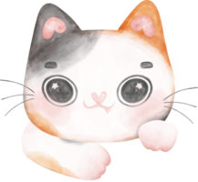 Cute cheerful calico kitten cat happy face cartoon character watercolour hand drawing png