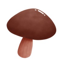 Cute simple brown mushroom png