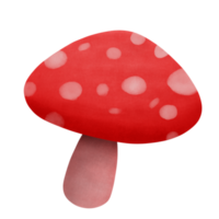 Cute red mushroom poison in watercolor style png