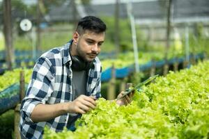A worker on a vegetable farm examines soil conditions and crop growth to determine the best type and amount of crop to plant. A small business owner's daily planning and organizing routine photo