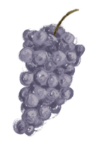 Plant vegetable and fruit png