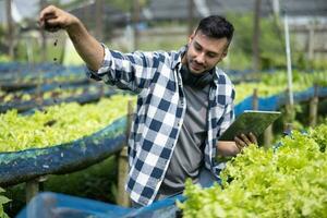 A worker on a vegetable farm examines soil conditions and crop growth to determine the best type and amount of crop to plant. A small business owner's daily planning and organizing routine photo