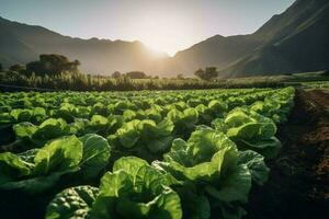 Field organic lettuce food. Generate AI photo